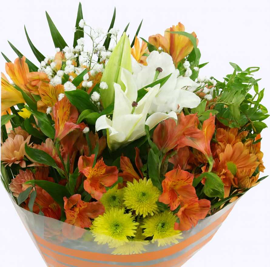Ramo Nº3 redondo multicolor (bouquet)